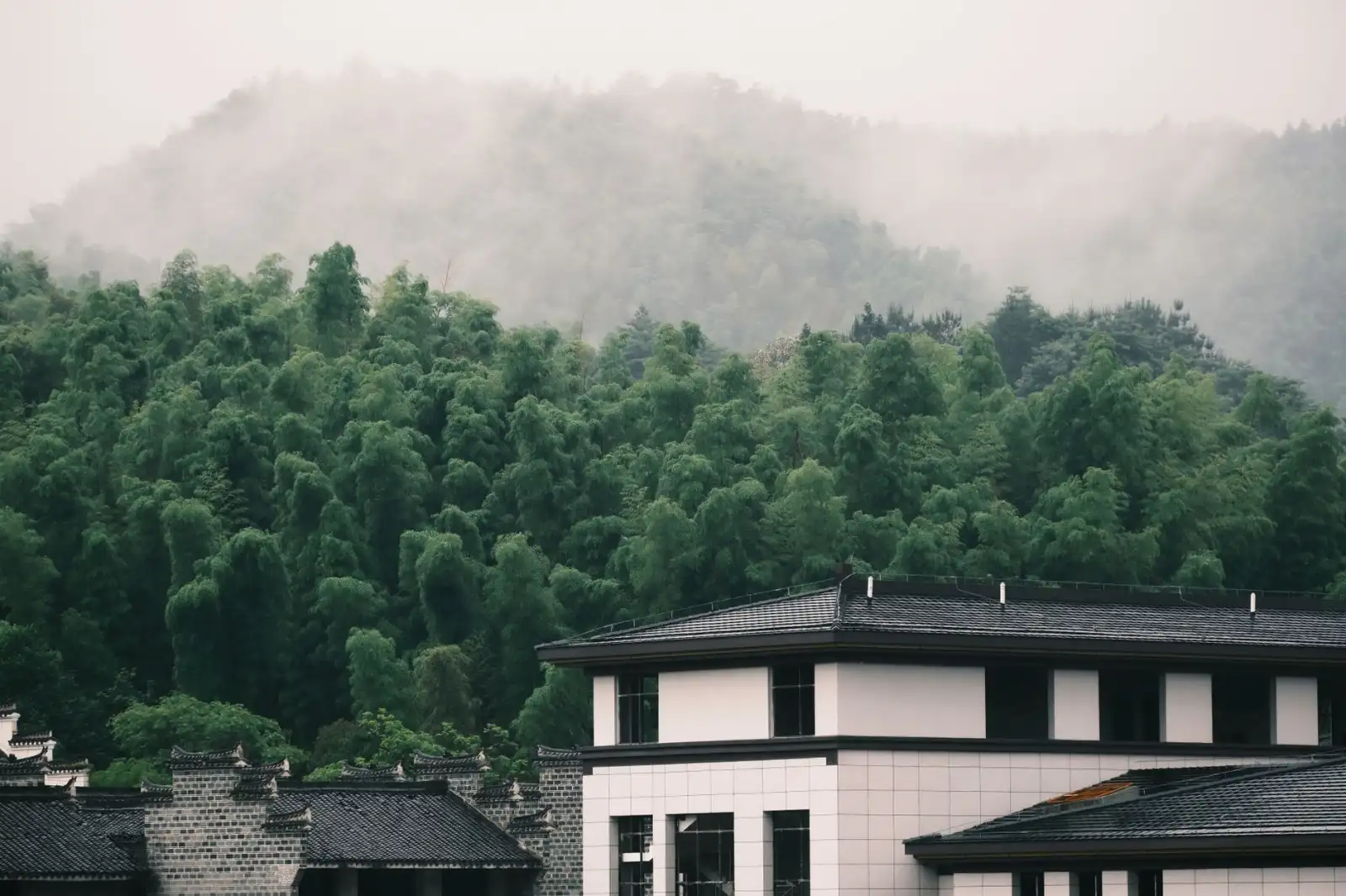 推拿按摩与经络调理在健康理疗中的技术差异及适用人群对比
