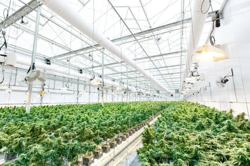 长期伏案肩颈僵硬怎么办？江北区正佴健康理疗店谈推拿按摩与经络调理的配合思路