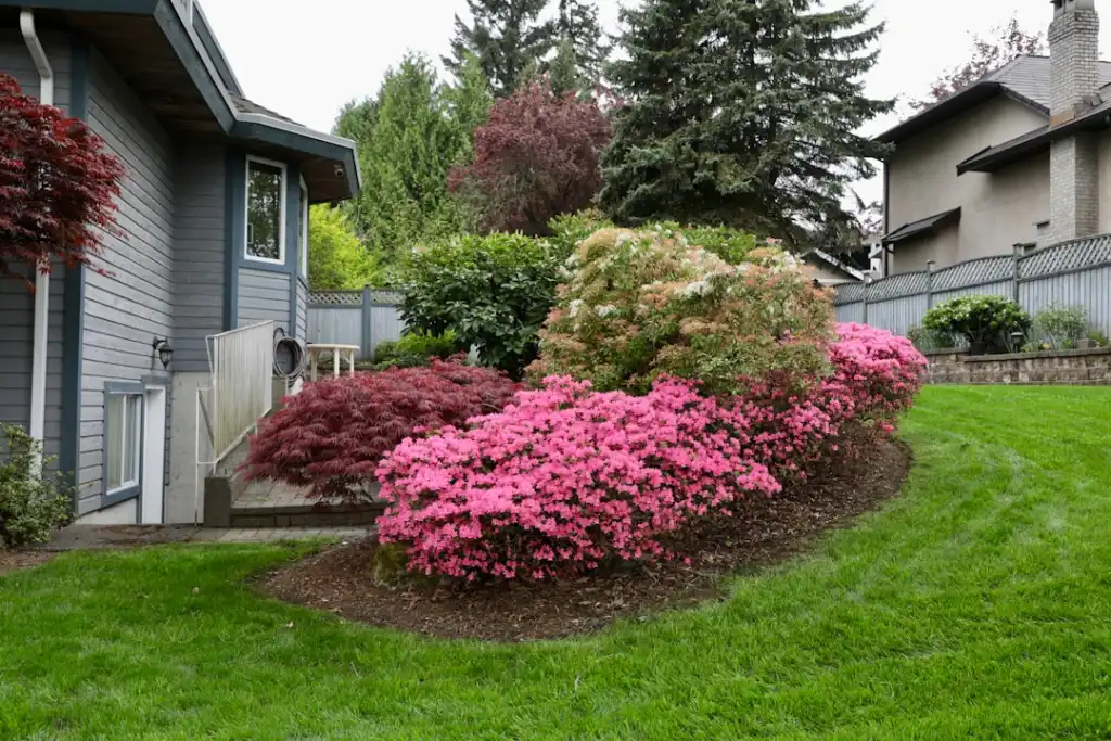 2025年江北区推拿按摩服务价格走势与项目选择建议