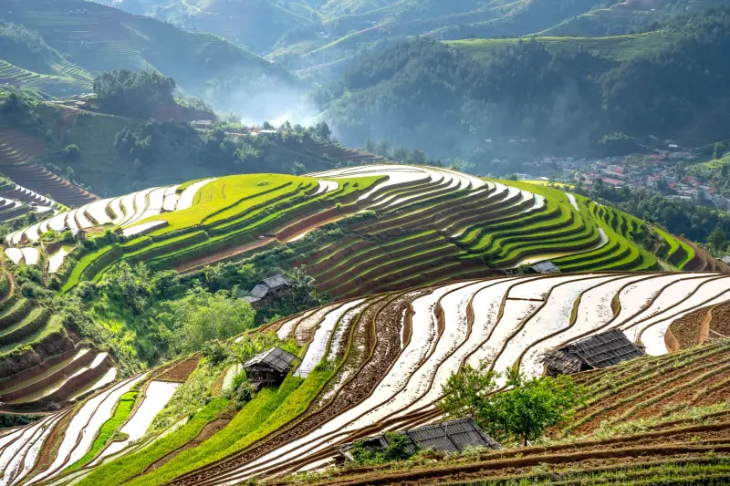 艾灸与拔罐结合理疗方案在缓解身体疲劳中的应用