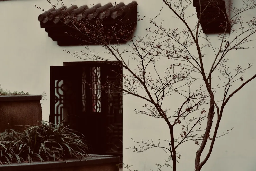 艾灸与拔罐在经络调理中的具体应用方法解析